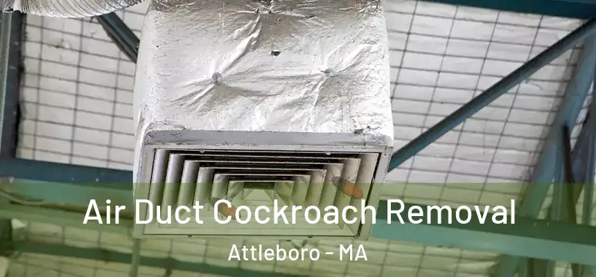 Air Duct Cockroach Removal Attleboro - MA