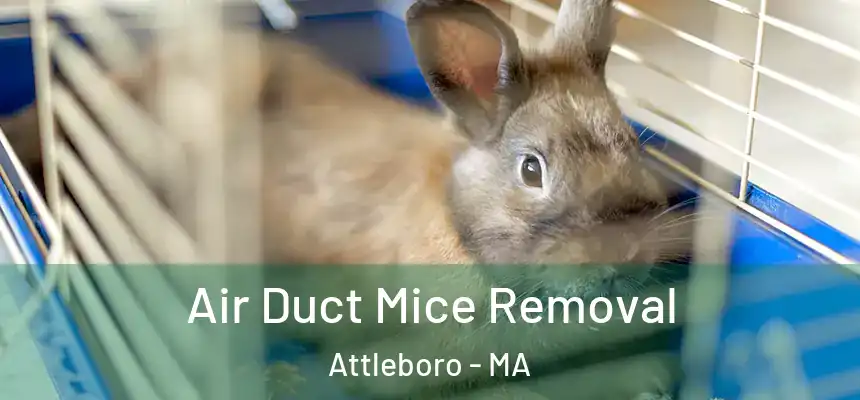  Air Duct Mice Removal Attleboro - MA