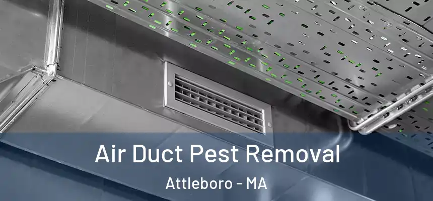 Air Duct Pest Removal Attleboro - MA