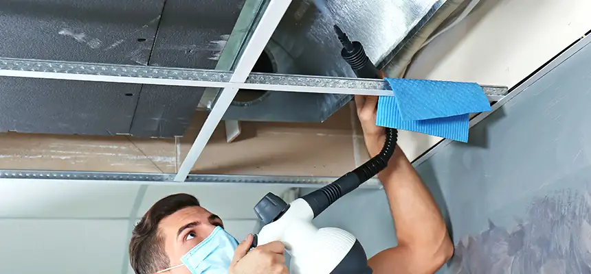 Our Air Duct Rodent Removal Services in Attleboro, MA