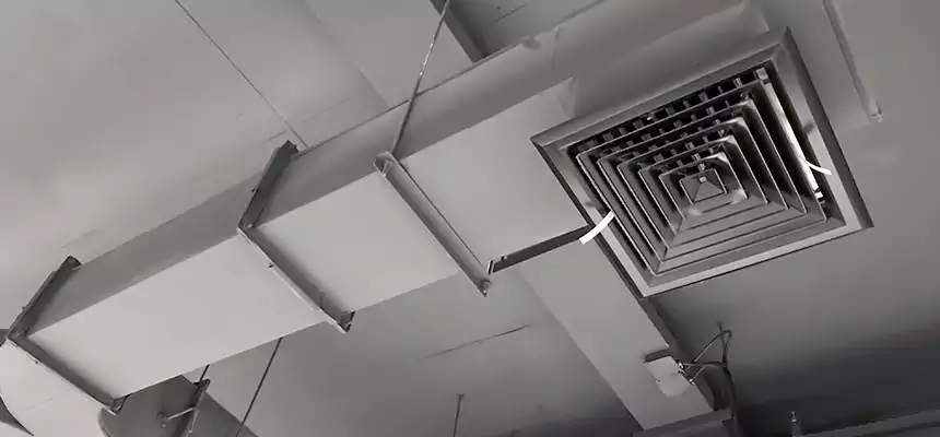 Restorative Allergy Relief Vent Cleaning – Coil, Blower & Housing Detail in Attleboro