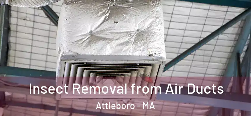  Insect Removal from Air Ducts Attleboro - MA