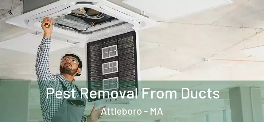 Pest Removal From Ducts Attleboro - MA