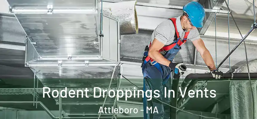  Rodent Droppings In Vents Attleboro - MA