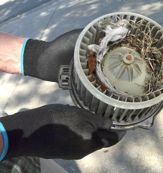 About Air Duct Rat Removal in Attleboro, MA