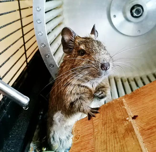 Why Homeowners & Businesses Trust Us Attleboro, MA?