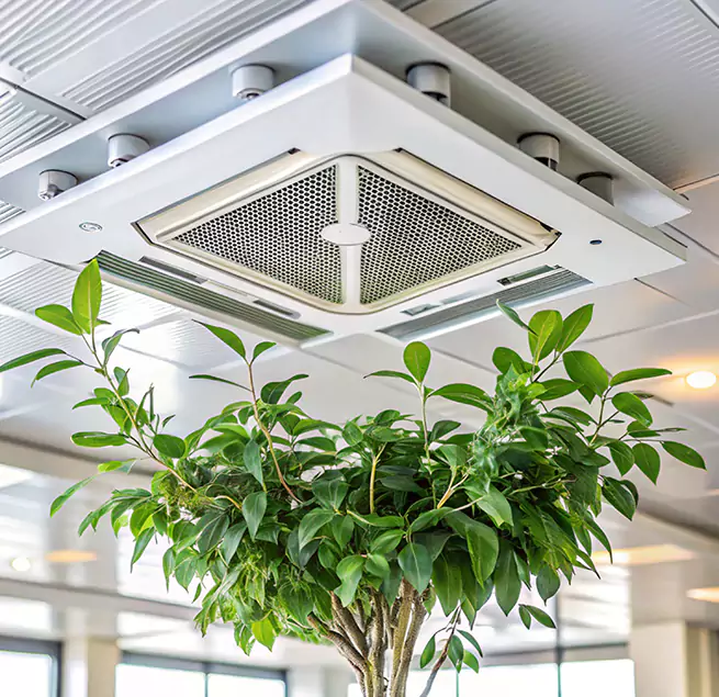 Why Homeowners & Businesses Trust Us in Attleboro, MA